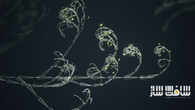 رشد رویهای با KineFX و ابزارهای Labs Tree