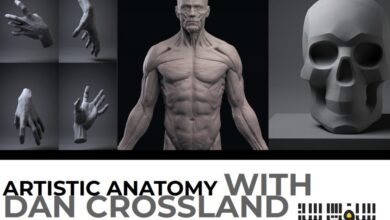 آناتومی هنری از Mold3D Academy