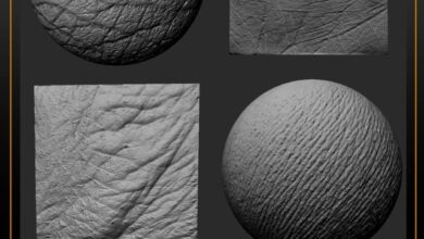 پک براش آلفا پوست انسان برای ZBrush