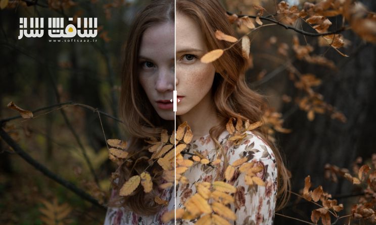 رتوش پرتره در فضای داخلی