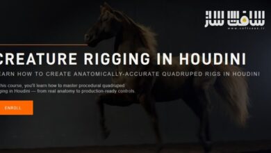 ریگینگ موجودات در Houdini