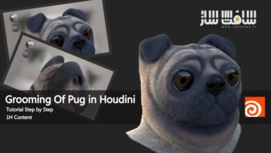 آموزش گروینگ سگ در Houdin