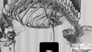 کلکسیون کامل آموزشهای TIMJ در سال 2025