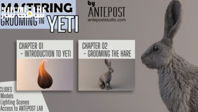 تسلط بر هنر اصلاح و شبیهسازی مو (Grooming) در پلاگین Yeti