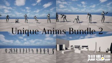 دانلود پروژه Unique Anims Bundle 2 برای آنریل انجین