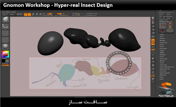 آموزش طراحی حشرات شگفت انگیز