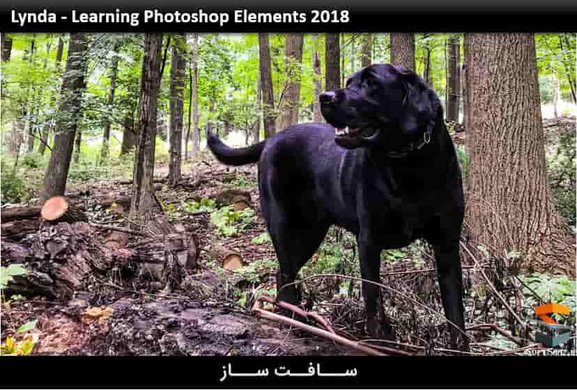 آموزش نرم افزار Photoshop Elements 2018