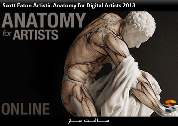 آموزش آناتومی برای هنرمندان دیجیتال