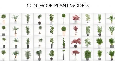 مدلهای سه بعدی گل و گیاه خانگی