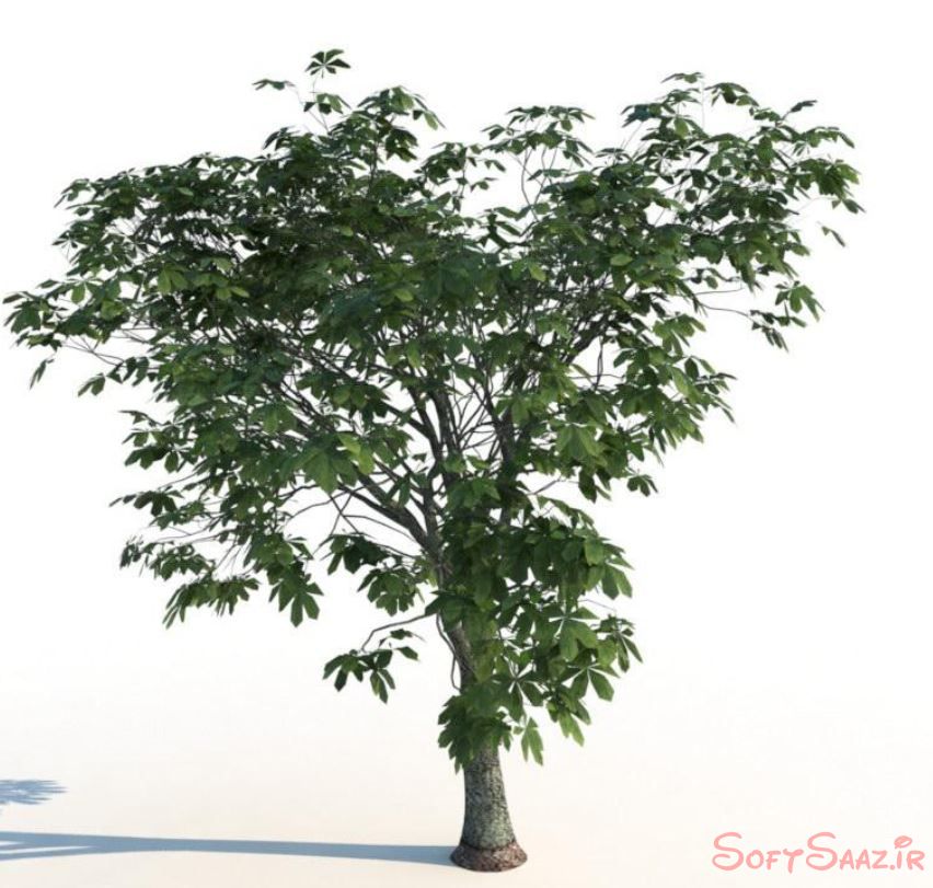 مدلهای درختان تابستانی iTrees vol.2